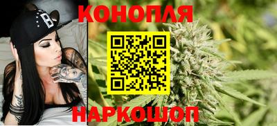 трава Камышлов