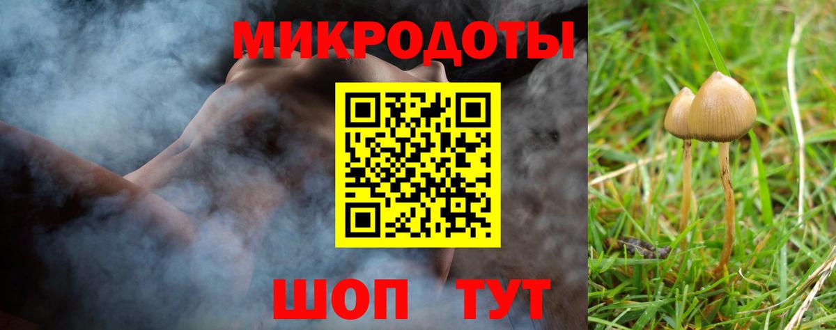 Галлюциногенные грибы прущие грибы Вятские Поляны
